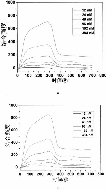 Targeted tumor stem cell marker CD133 stapled peptide and application thereof