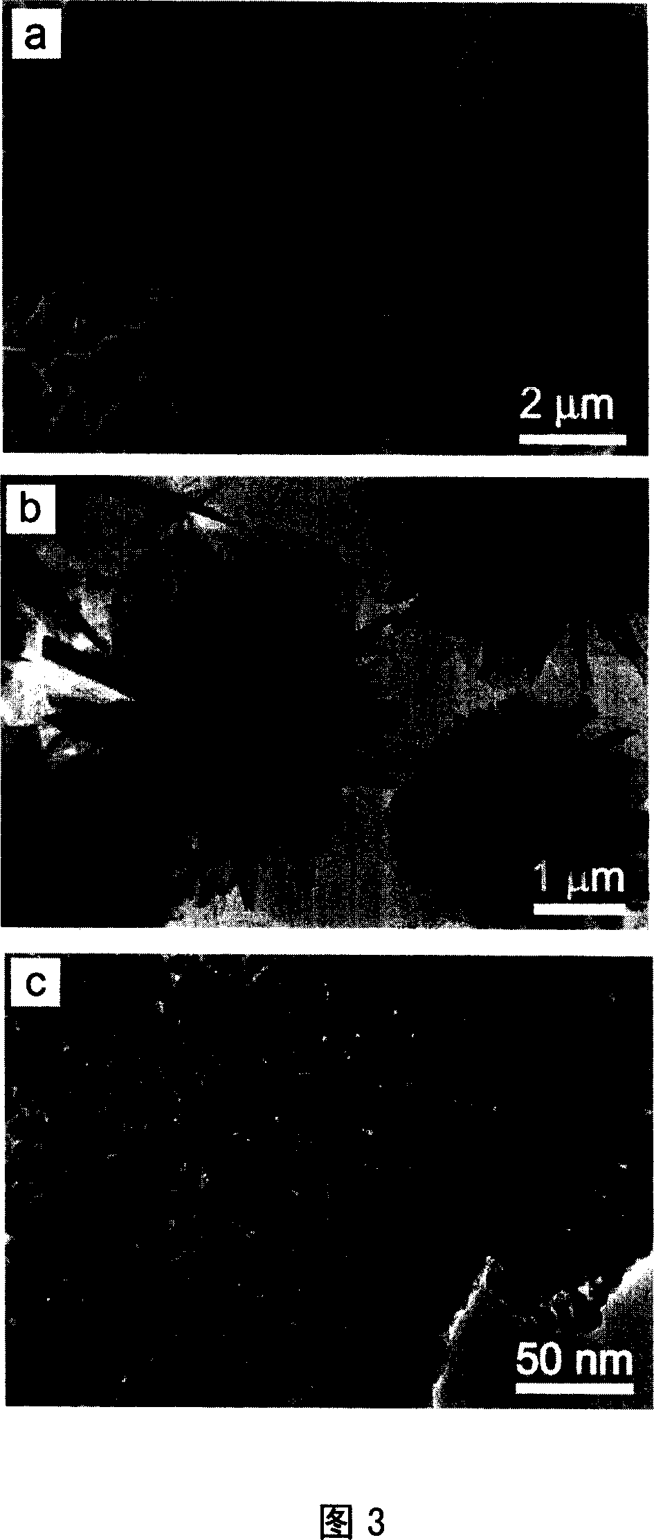 Nano ferric oxide material and its preparing process and use in water treatment