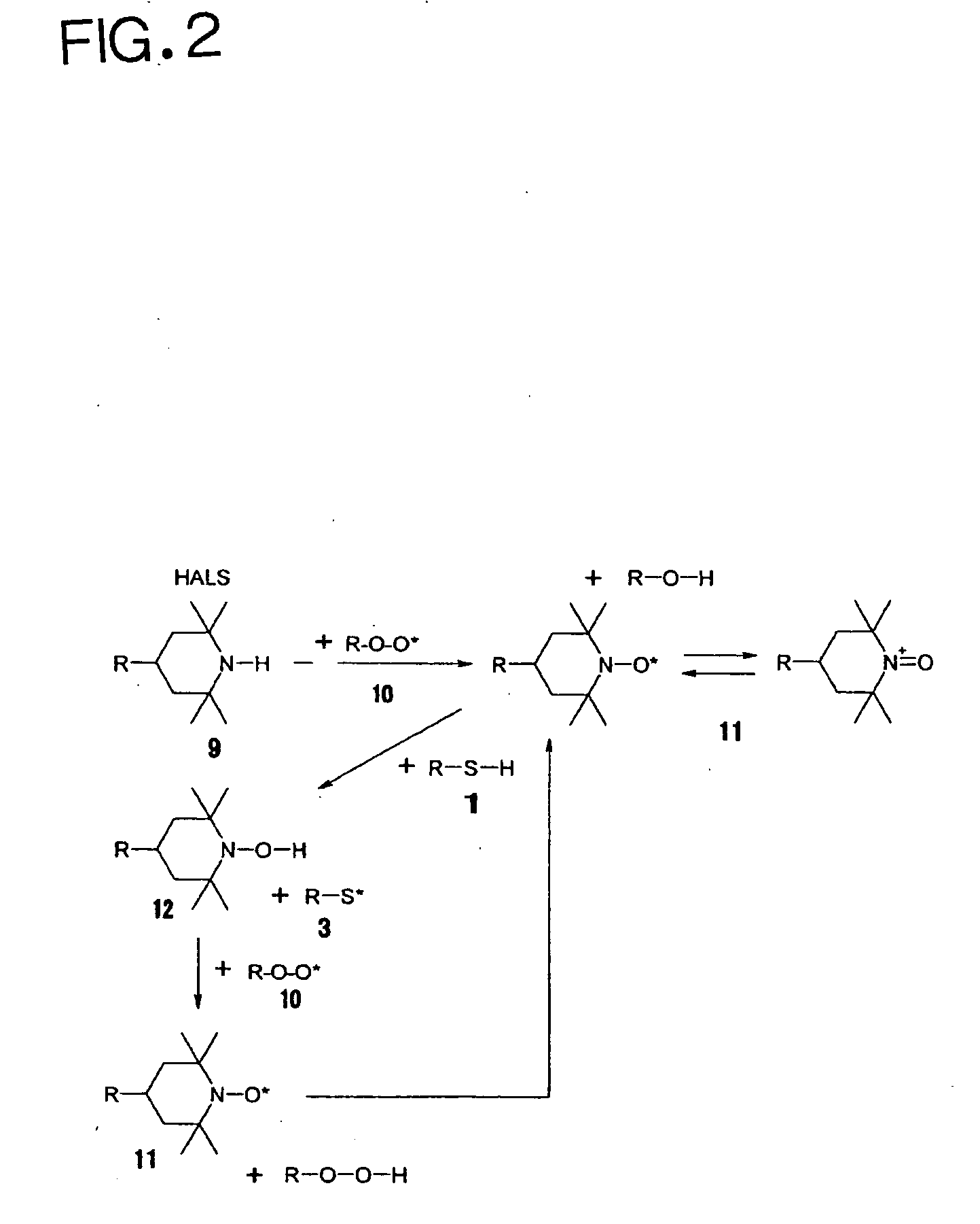 Photocurable ink composition, ink cartridge, inkjet recording method and recorded matter