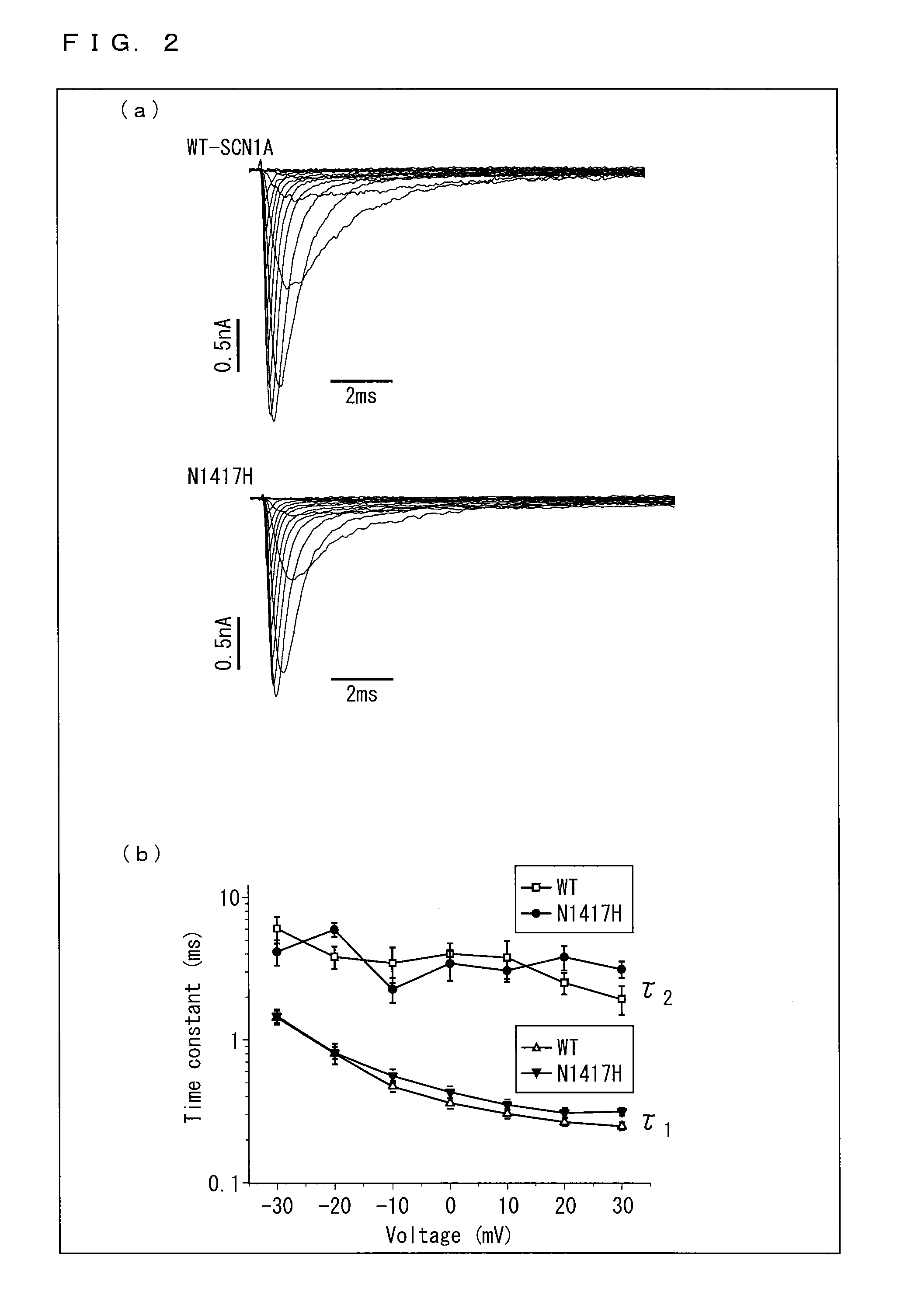 Method for assessment of potential for development of dravet syndrome and use thereof