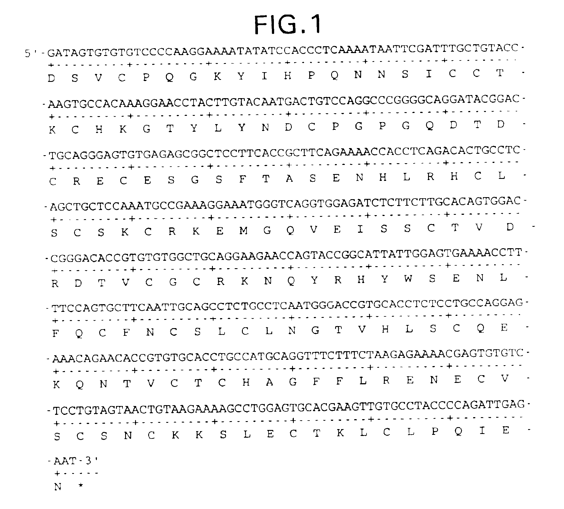 Truncated soluble tumor necrosis factor type-I and type-II receptors