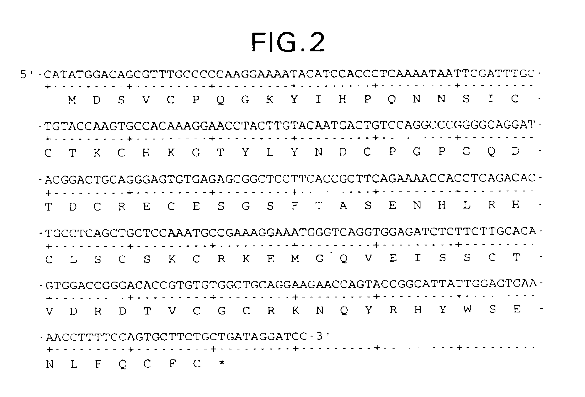 Truncated soluble tumor necrosis factor type-I and type-II receptors