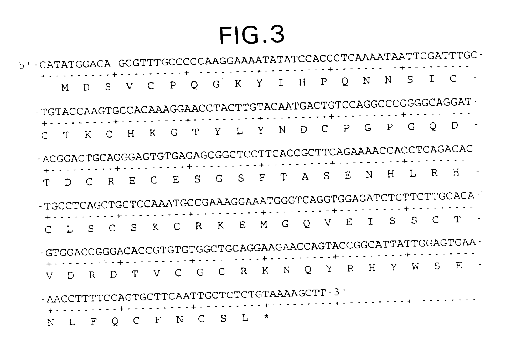 Truncated soluble tumor necrosis factor type-I and type-II receptors