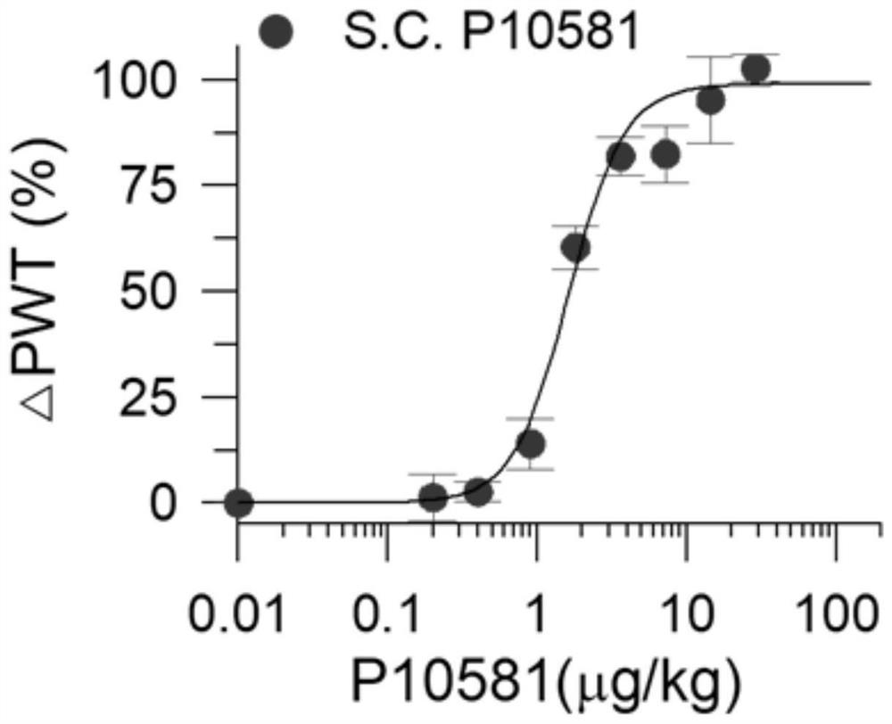 Polypeptide P10581 and application thereof in preparation of medicine for relieving bone cancer pain