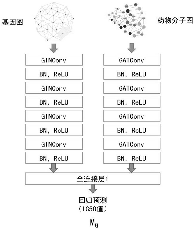 Drug sensitivity prediction method and device based on transfer learning and graph neural network