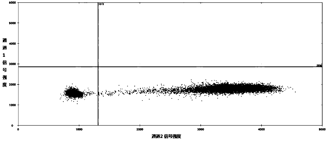 Primer used for detecting nucleotide sequence variation, composition thereof, and method