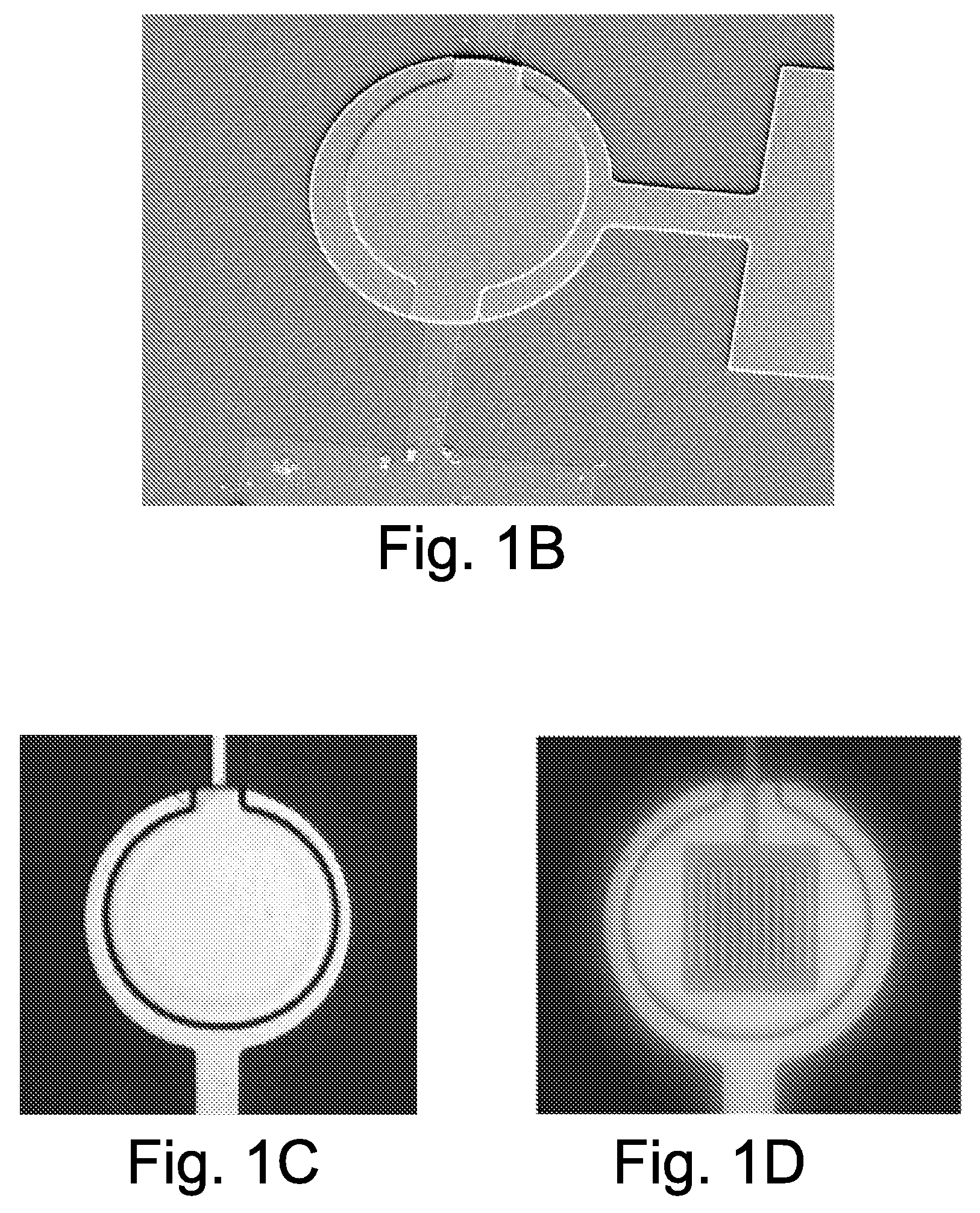 Integrated displacement sensors for probe microscopy and force spectroscopy