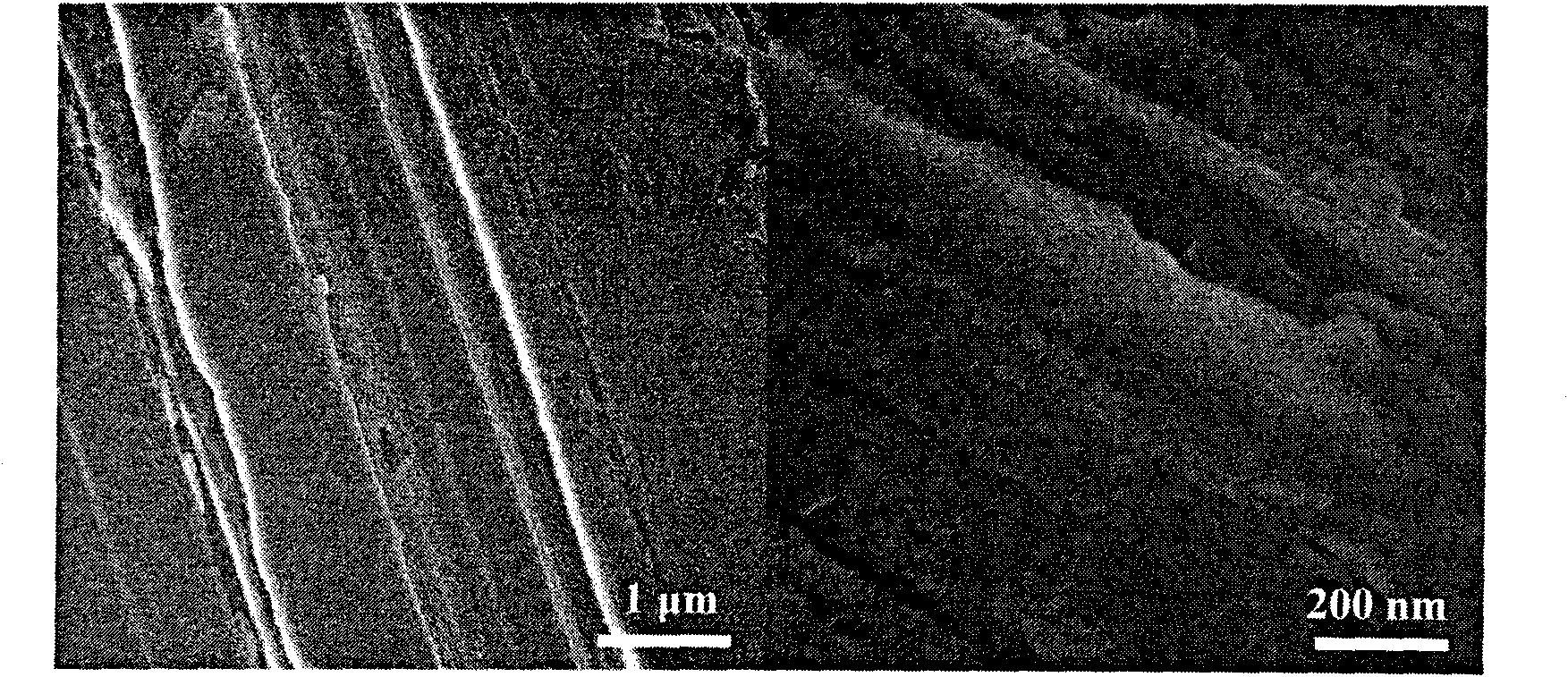 Nano-porous palladium metal catalyst and preparing method thereof