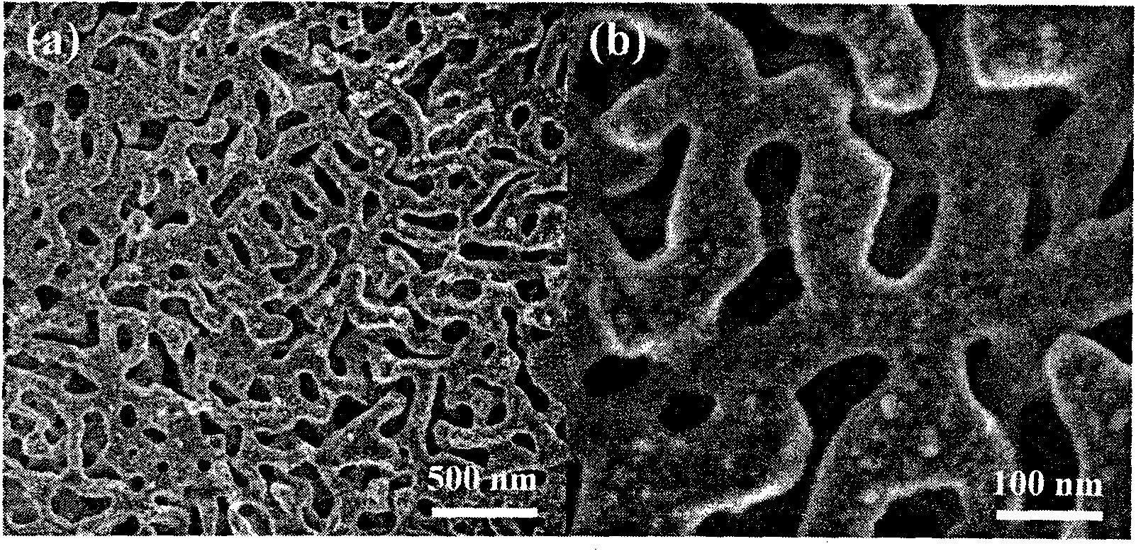 Nano-porous palladium metal catalyst and preparing method thereof