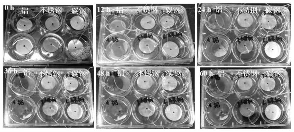 Disinfectant for medical institution wastes and preparation method thereof