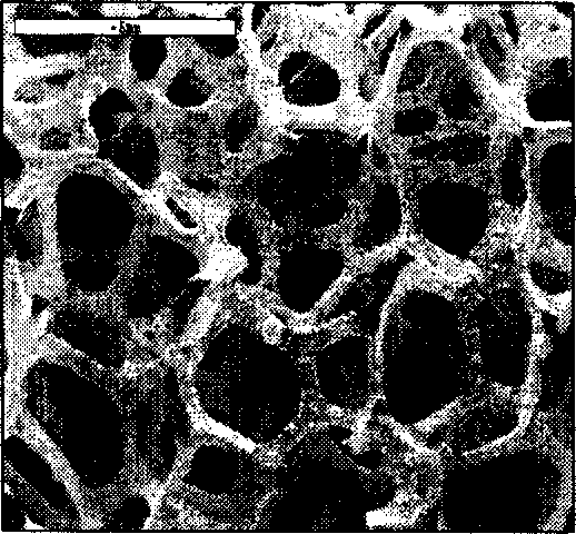 Bi-continuous-phase composite friction material of foaming silicon carbide/metal, its member and preparation