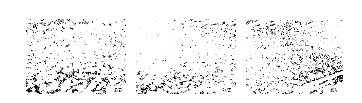 Process for repairing and reinforcing surfaces of agricultural machinery components and parts by plasma spray welding