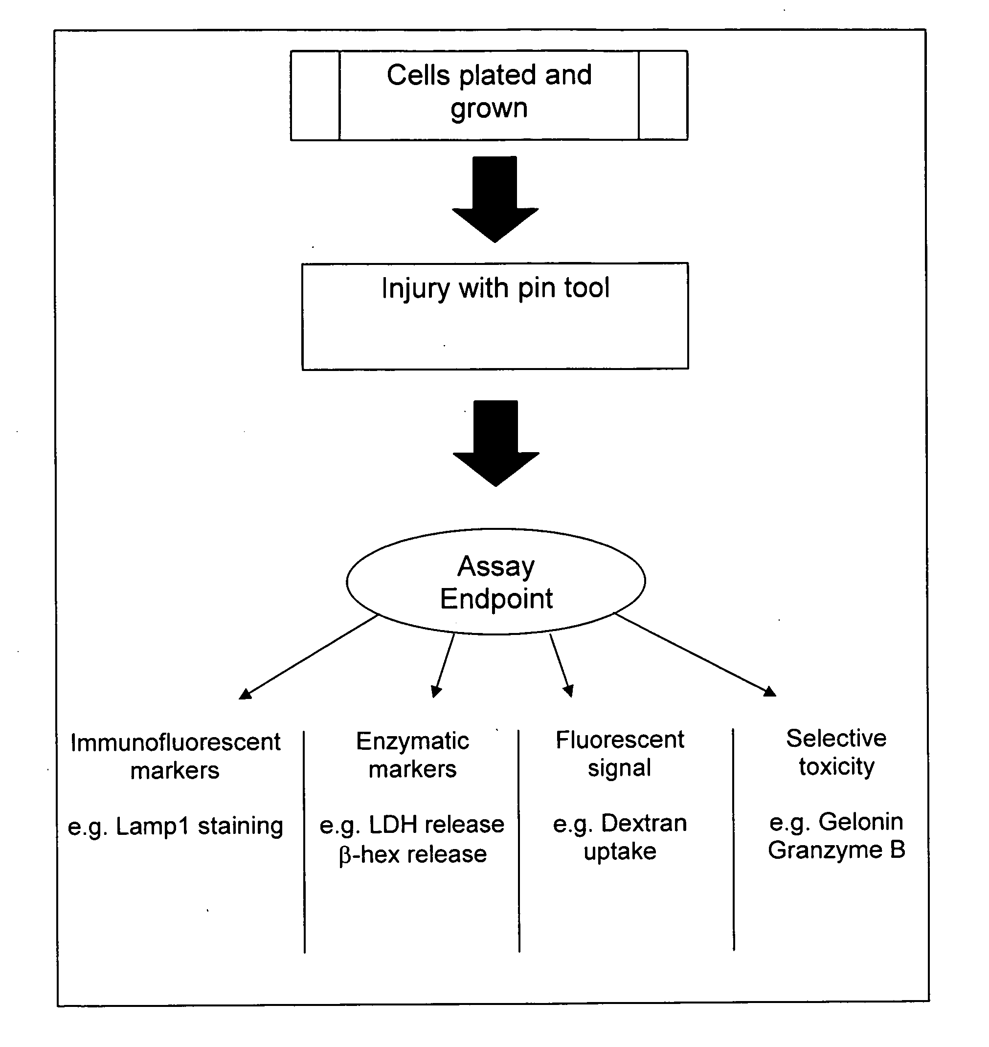 Methods and products for identifying compounds that modulate cell plasma membrane repair