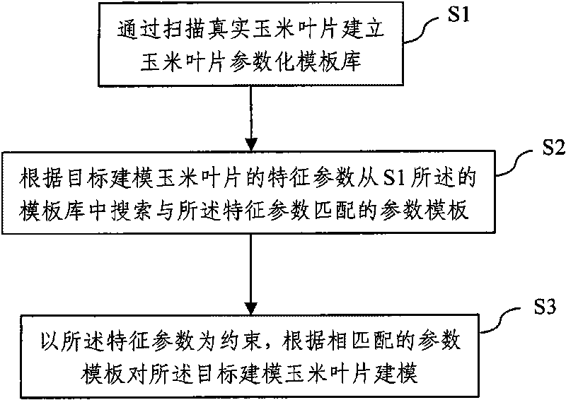 Parameter template-based corn leaf virtual simulation modeling method