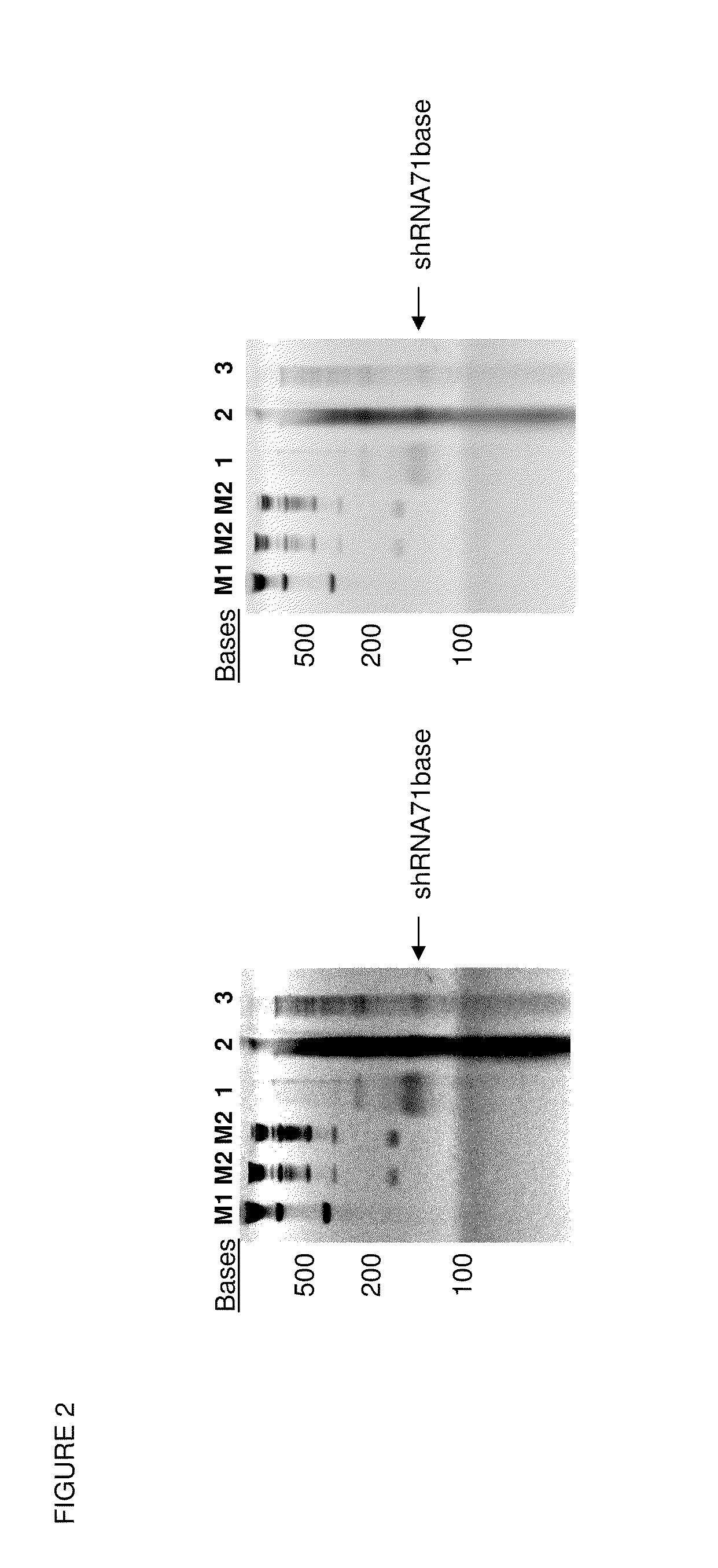 Encapsidation of Heterologous Entities into Virus-Like Particles