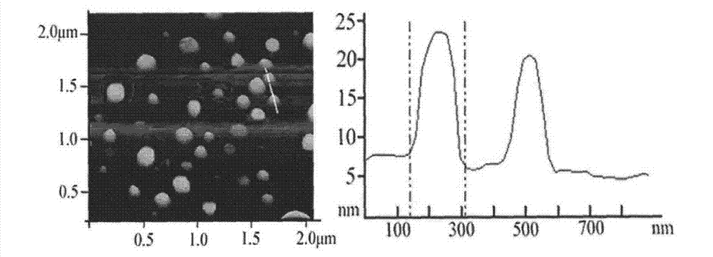 Oral calcitonin liposome and lyophilized preparation thereof