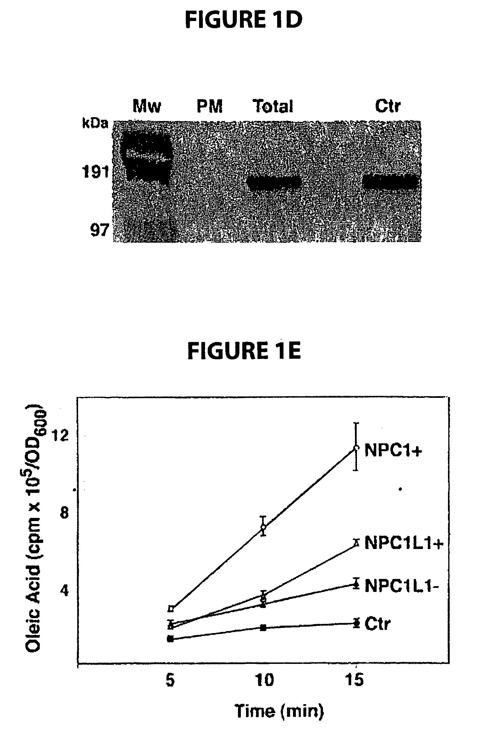 Npc1l1 and npc1l1 inhibitors and methods of use thereof