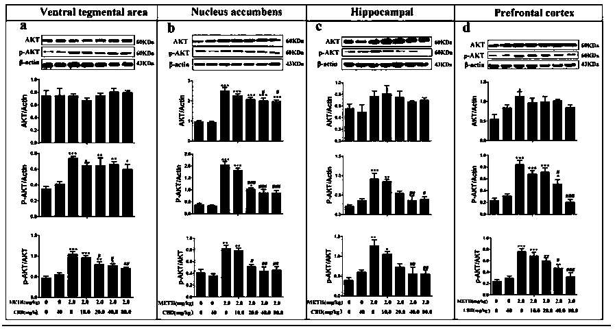 Application of CBD as drug for treating METH addiction