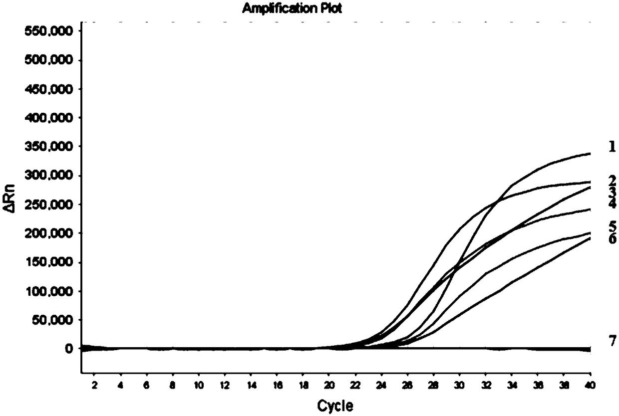 Reagent set, kit and detection method for detecting fungal infection