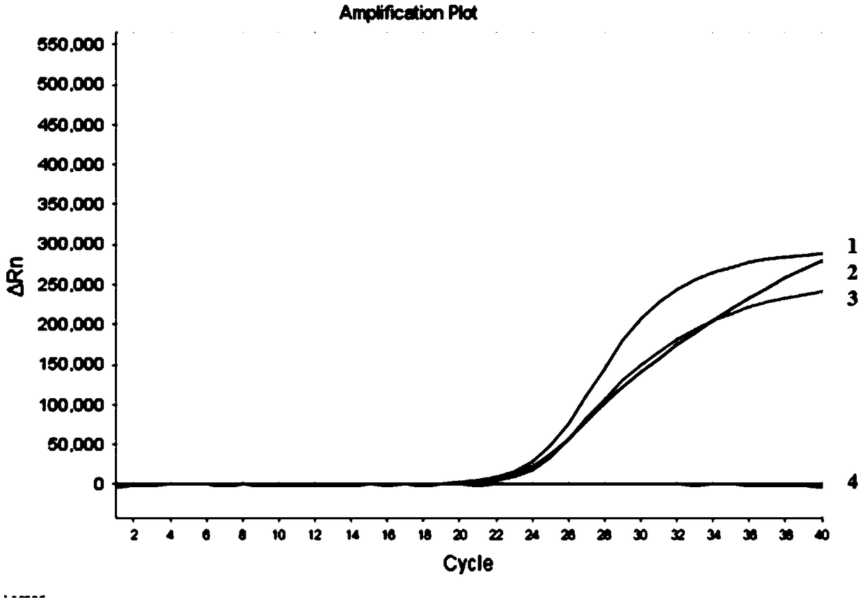 Reagent set, kit and detection method for detecting fungal infection