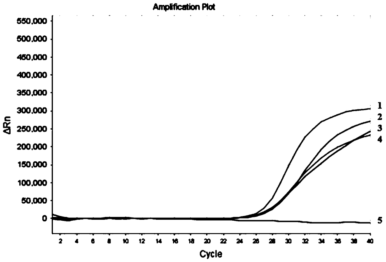 Reagent set, kit and detection method for detecting fungal infection