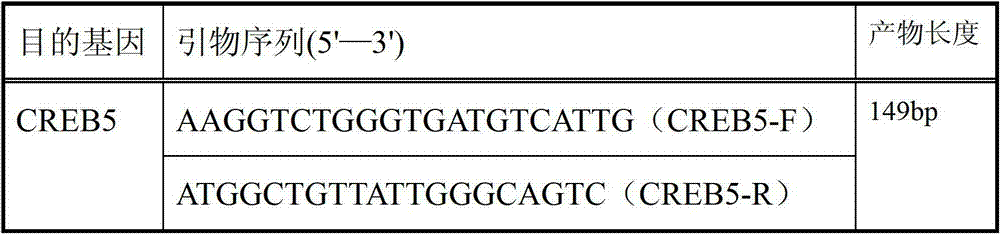 CREB5 gene application