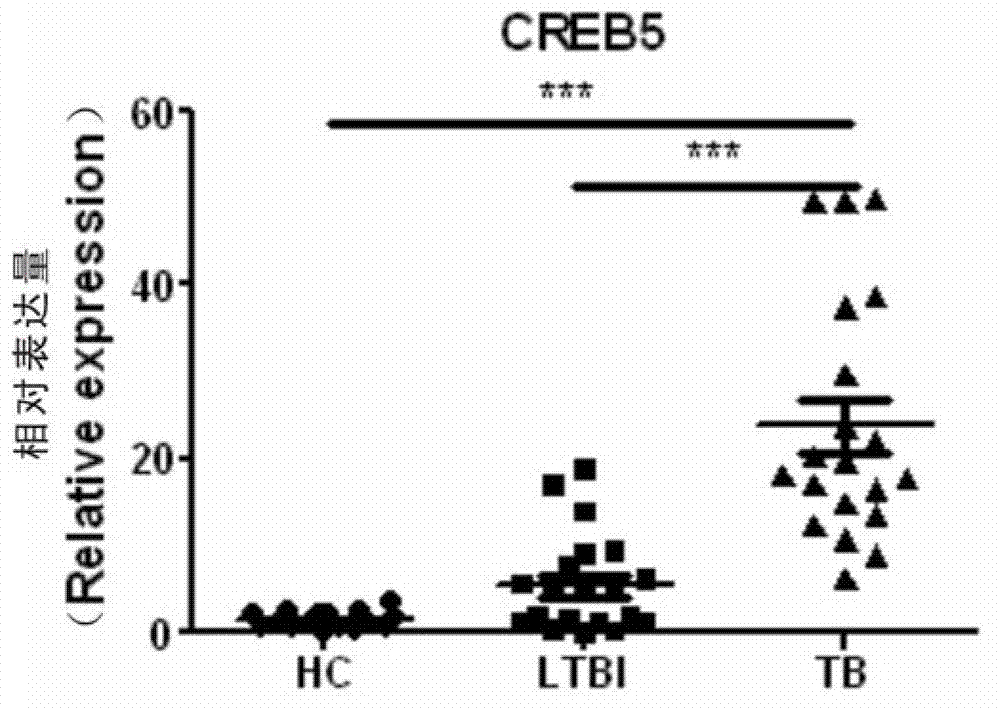 CREB5 gene application