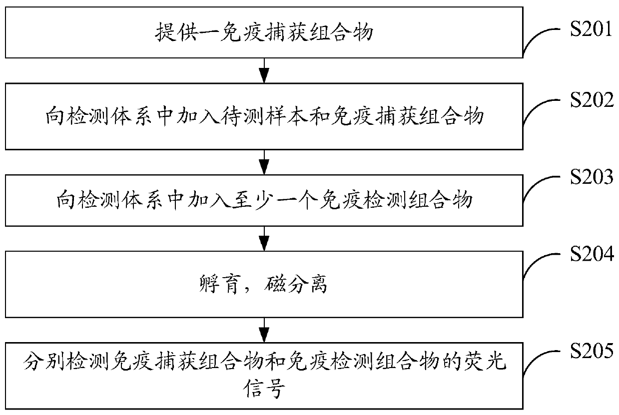 Immune capture composition, preparation method, kit and application