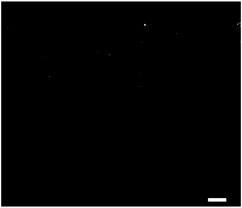 Yttria-stabilized zirconia doped lanthanum-cerium oxide material powder for plasma physical vapor deposition and preparation method thereof and application