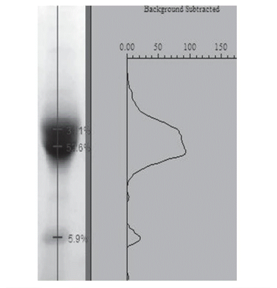 Indirect ELISA (enzyme linked immunosorbent assay) method for detecting soybean antigenic protein serum antibody