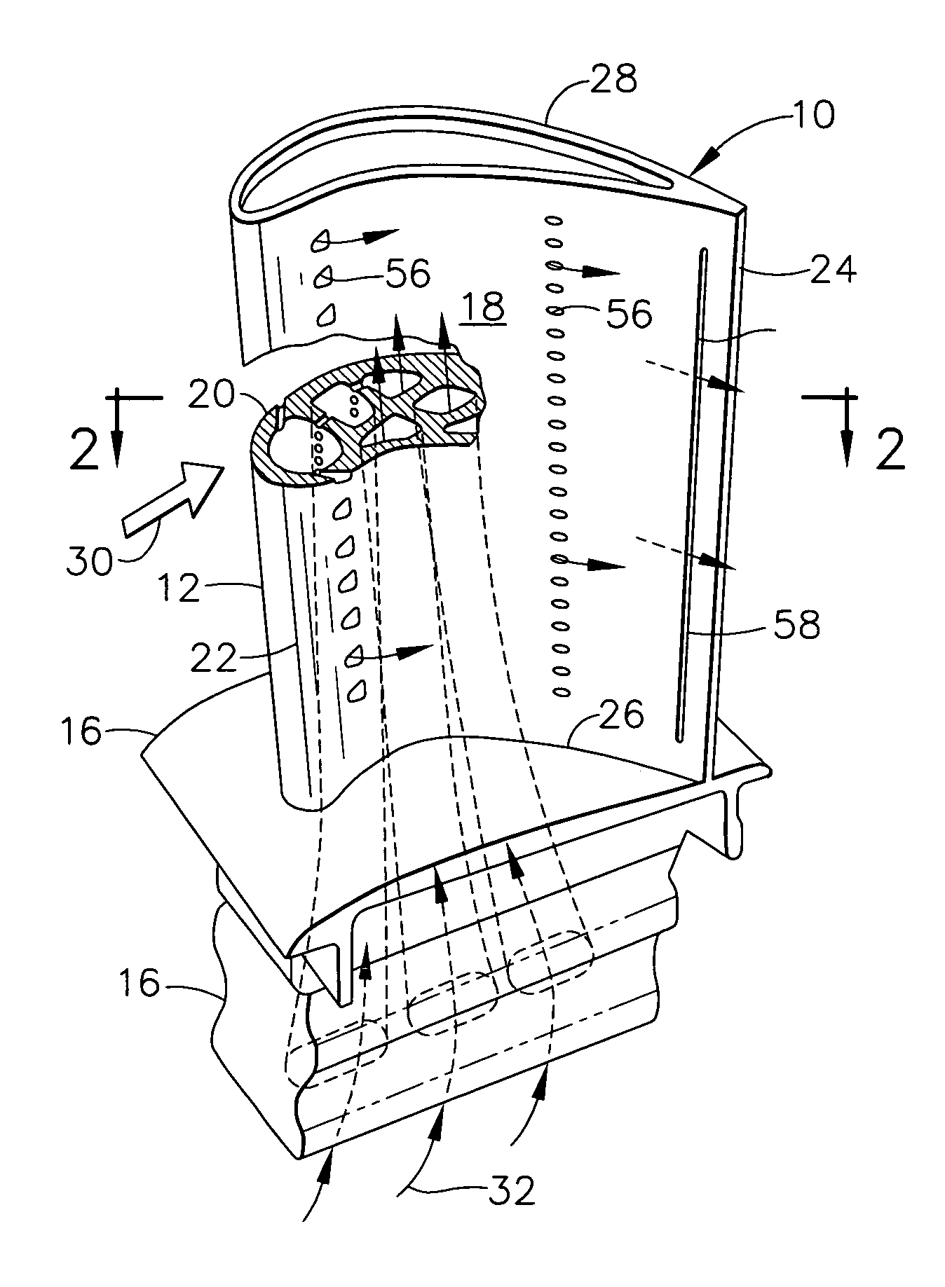 Parallel serpentine cooled blade