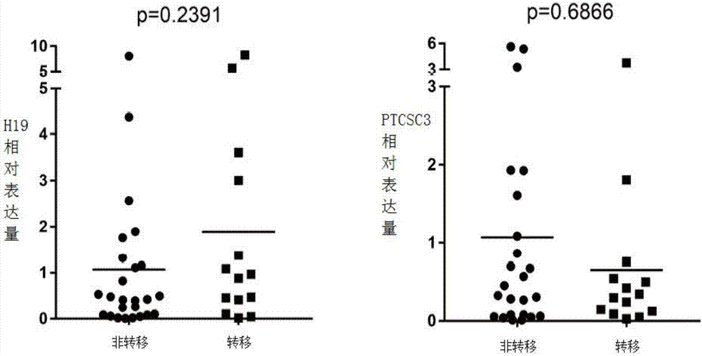 Cancer combined diagnosis marker and use thereof