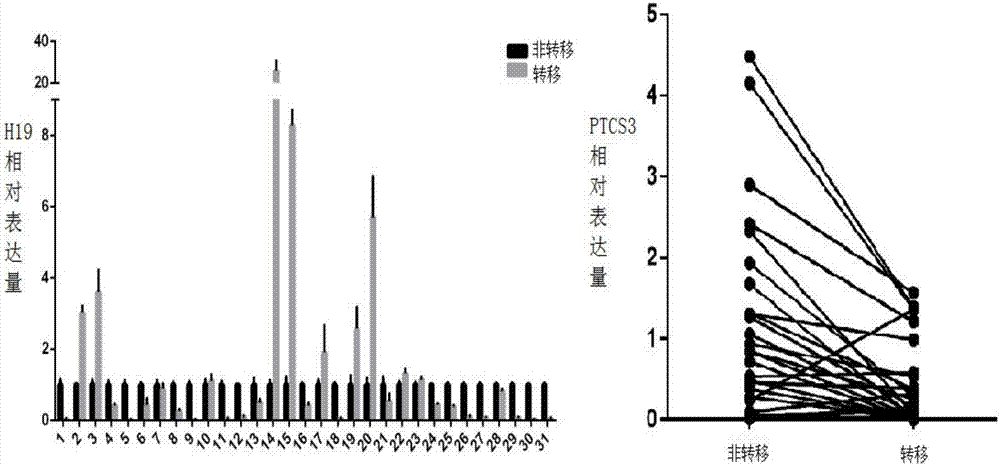 Cancer combined diagnosis marker and use thereof