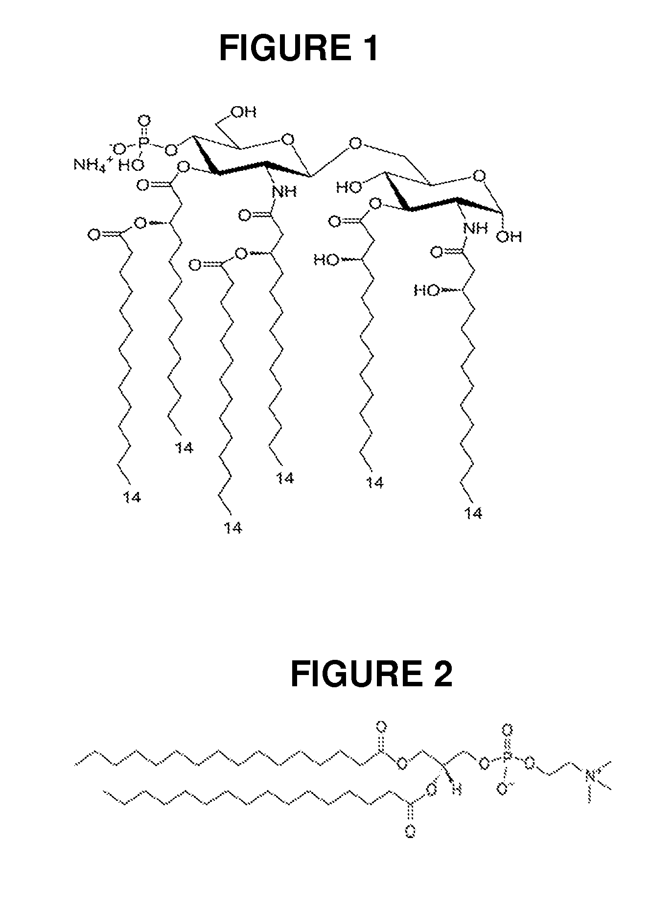 Compositions of vaccines and adjuvants and methods for the treatment of urinary tract infections