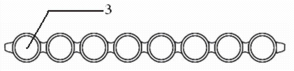 Spectinomycin, streptomycin, gentamycin and neomycin detection test strip and method thereof