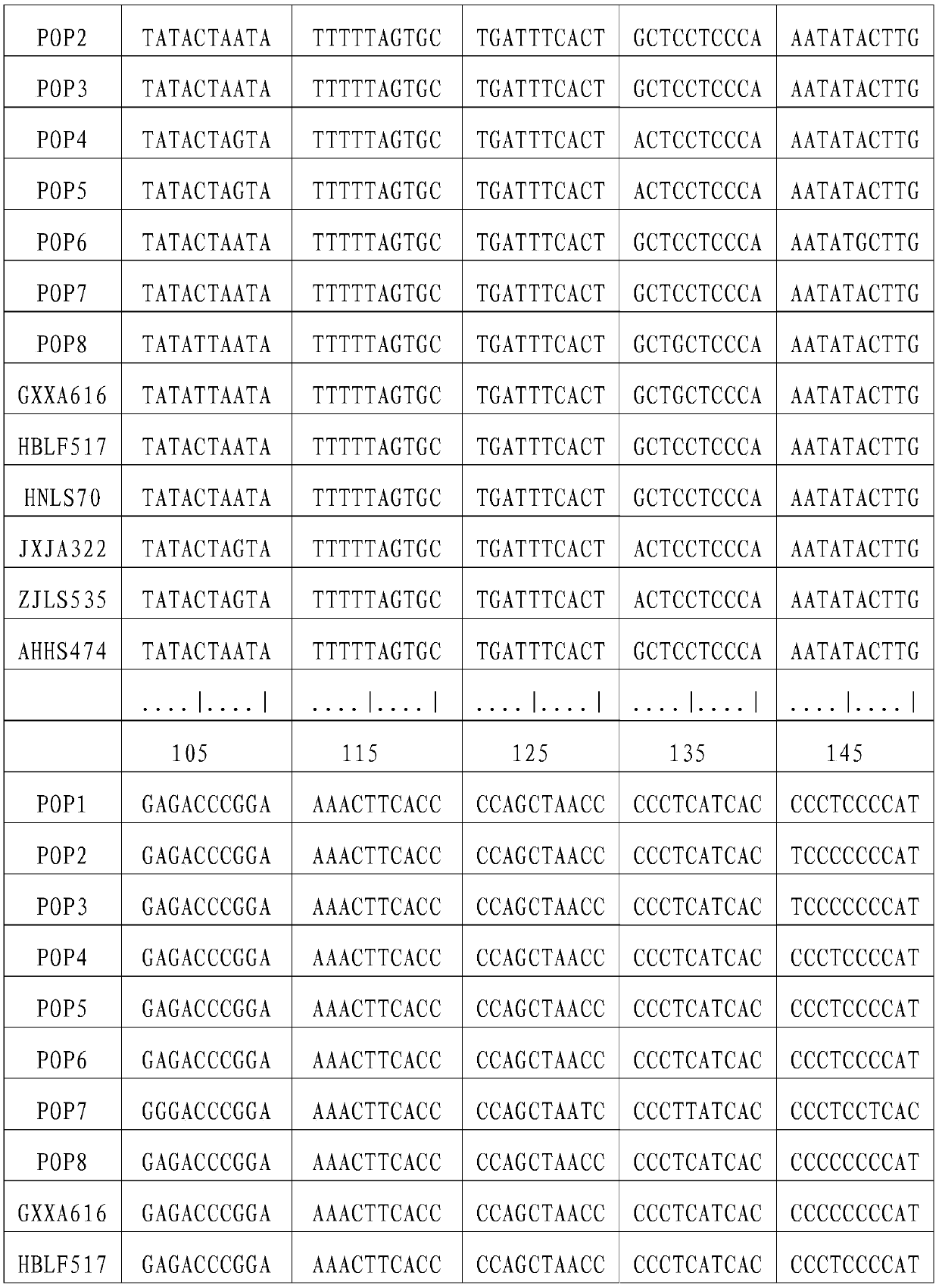 A method for group division of Chinese giant salamander based on mitochondrial DNA sequence