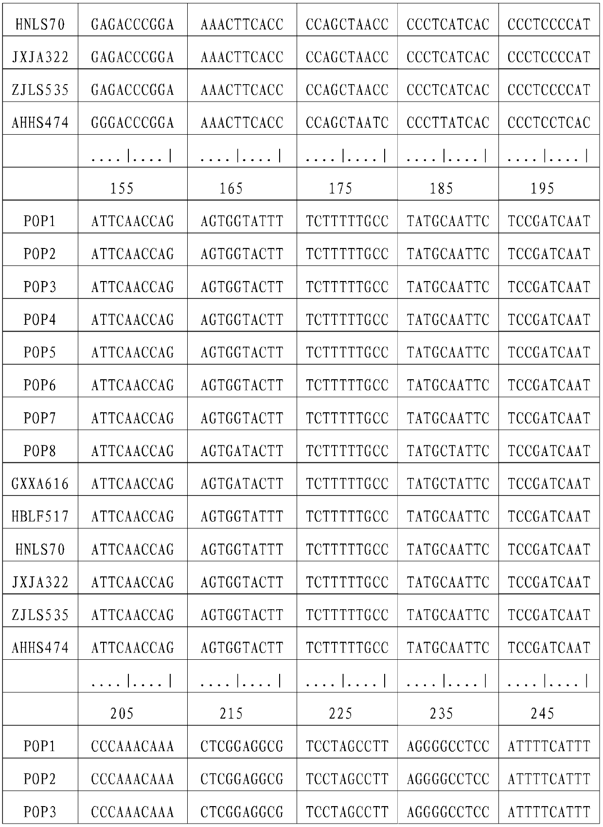 A method for group division of Chinese giant salamander based on mitochondrial DNA sequence