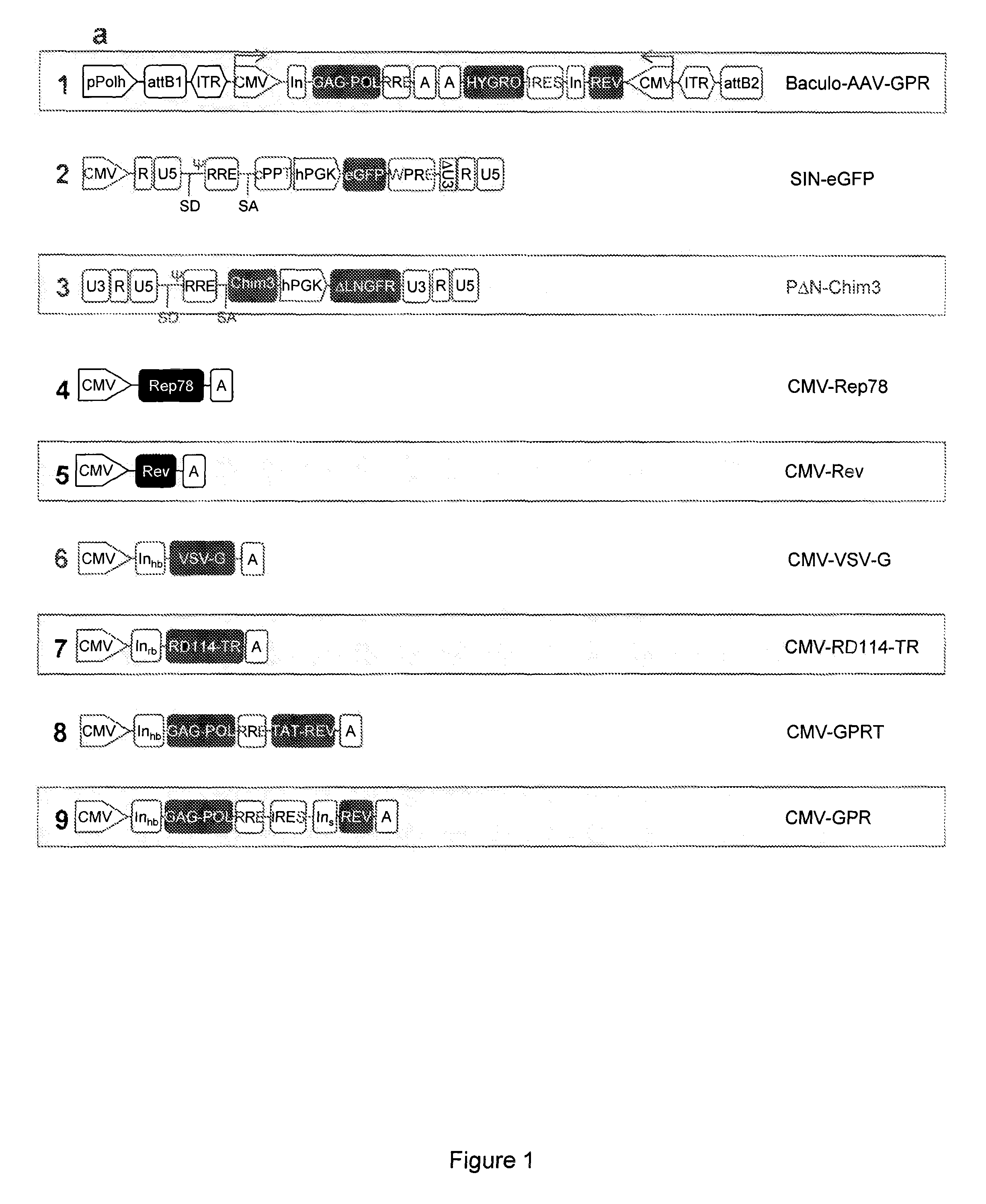 Semi-stable production of lentiviral vectors