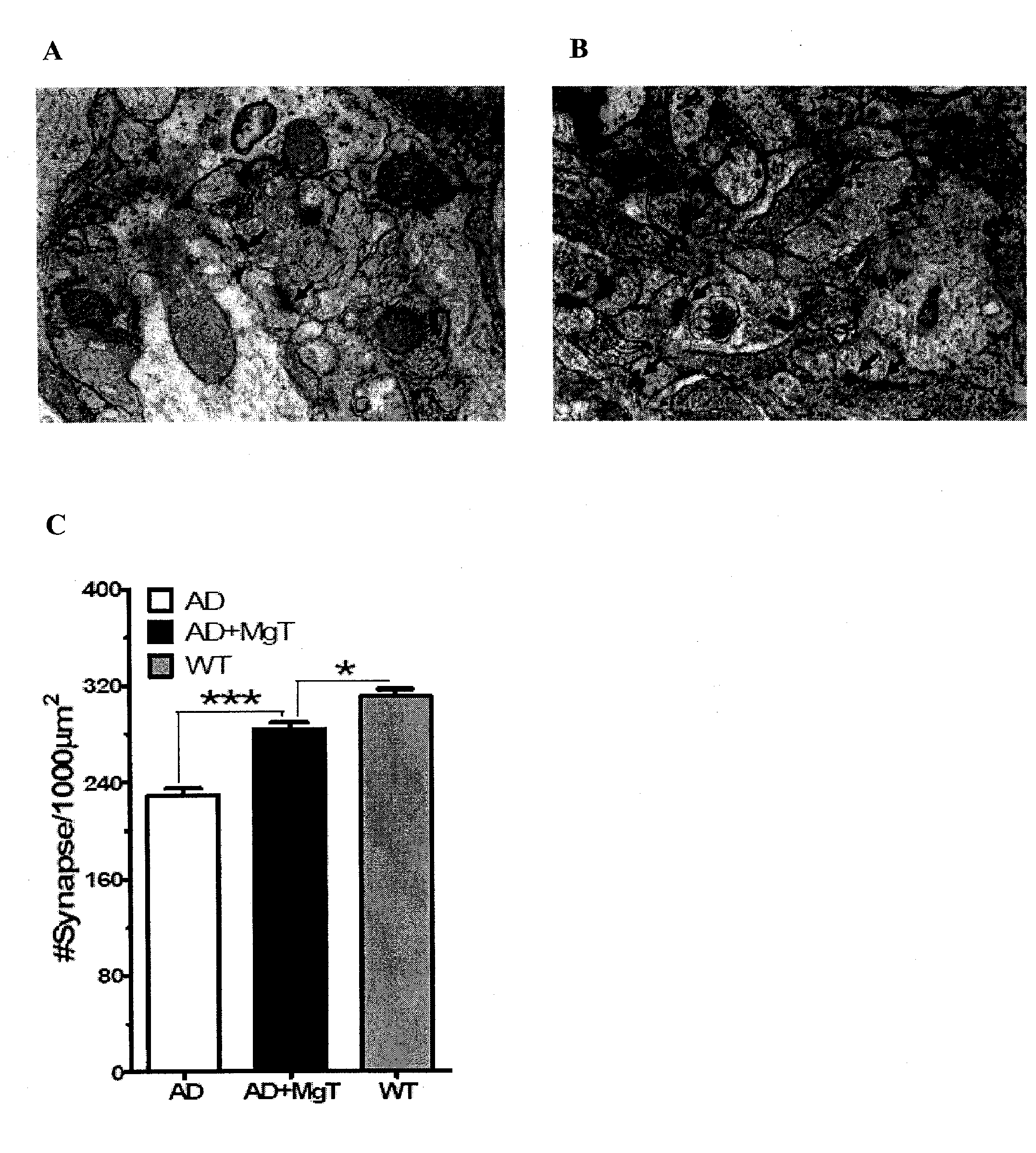 Magnesium compositions and uses thereof for increasing lifespan