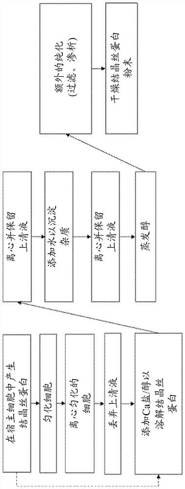 Method for improving extraction of spider silk proteins