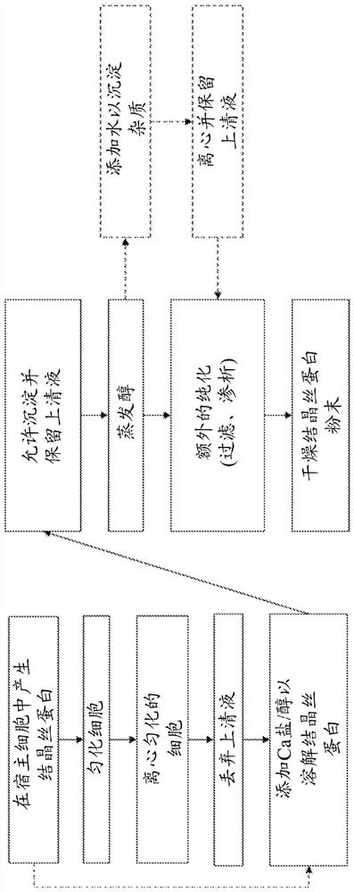 Method for improving extraction of spider silk proteins