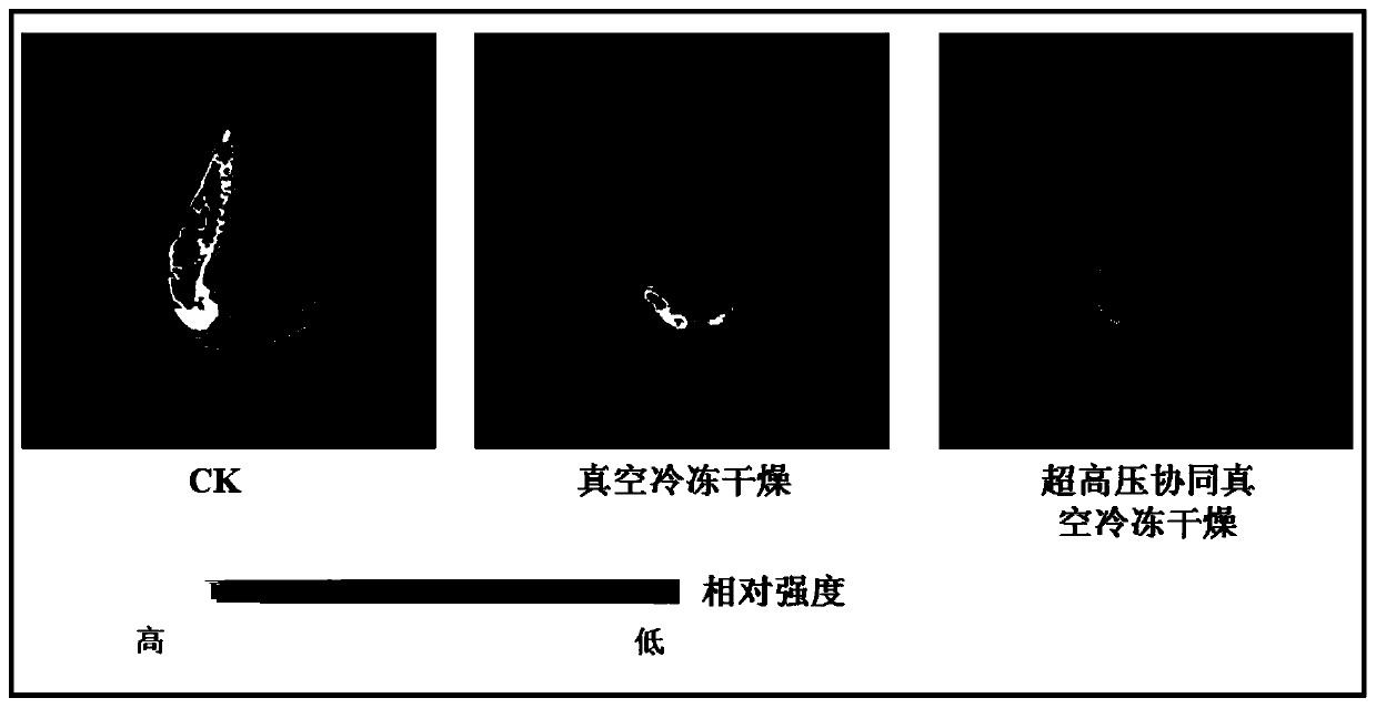 Processing method for improving vacuum freeze-drying rate of dried shrimps