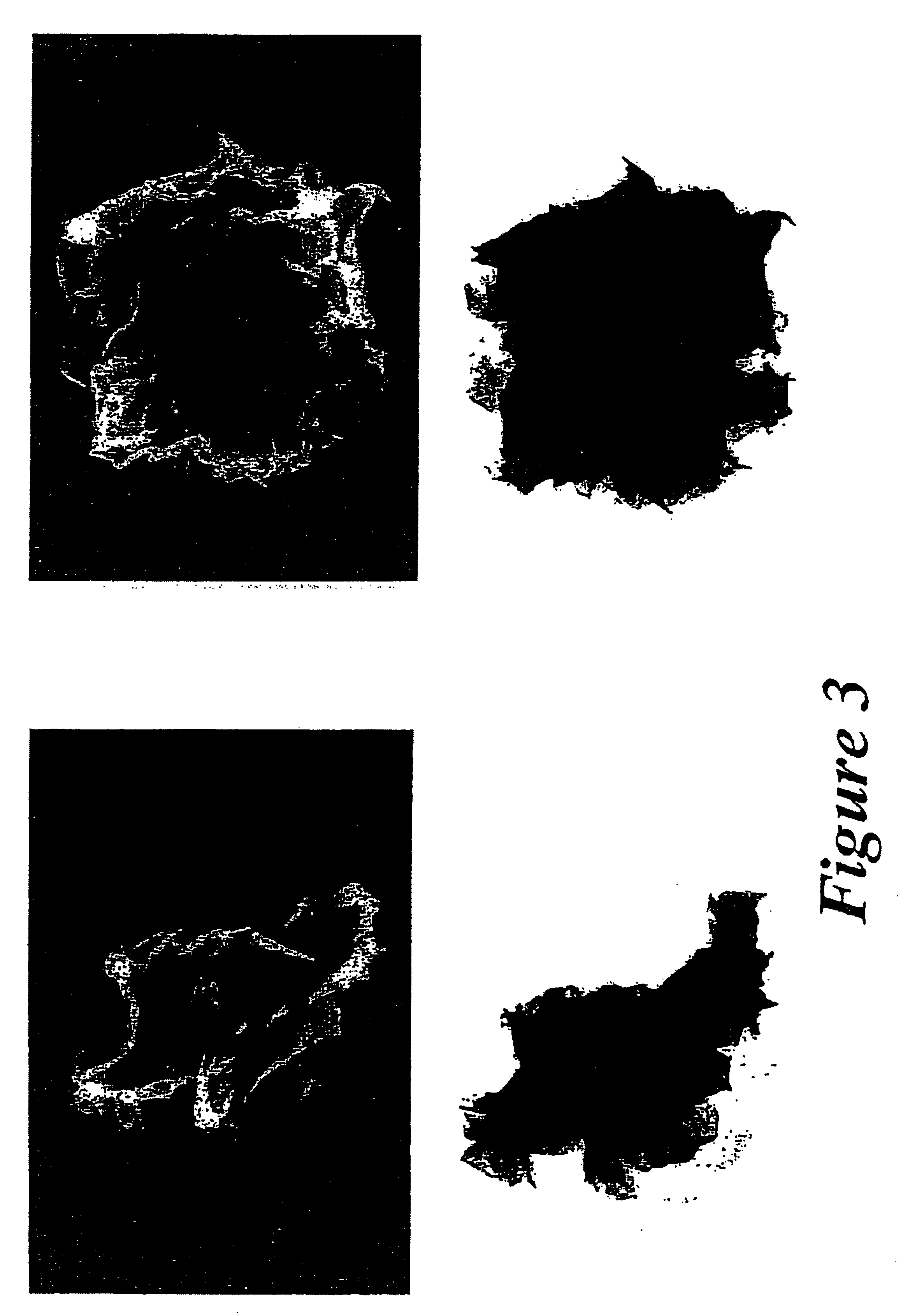 Hydrotalcites, syntheses, and uses