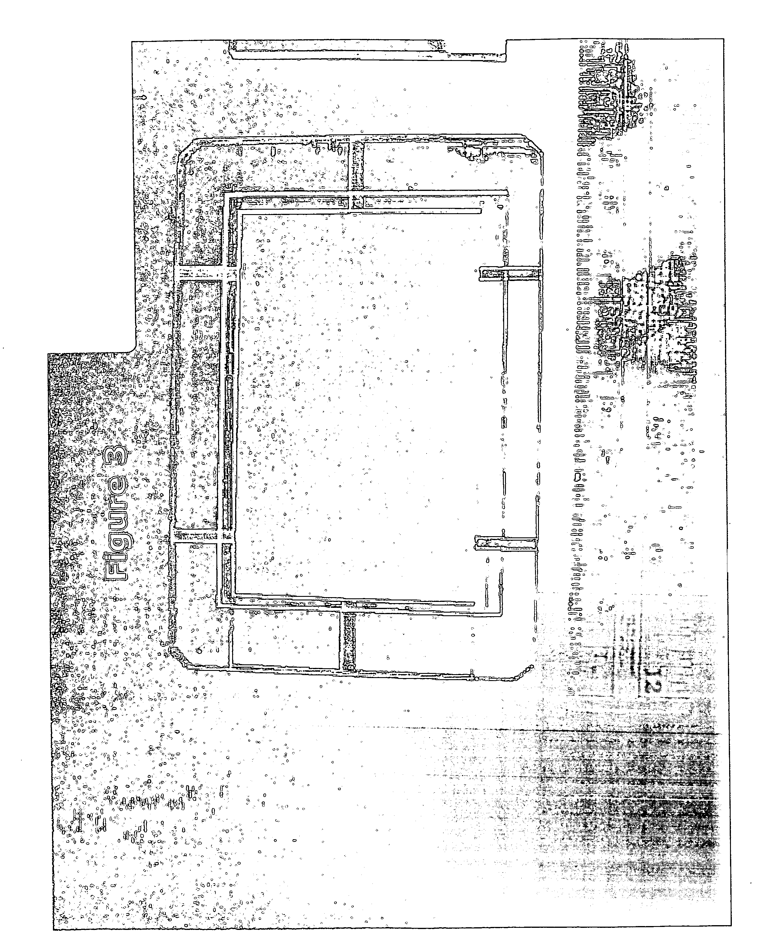 In vitro engineered, regenerated urinary tract tissue compositions and methods for producing same