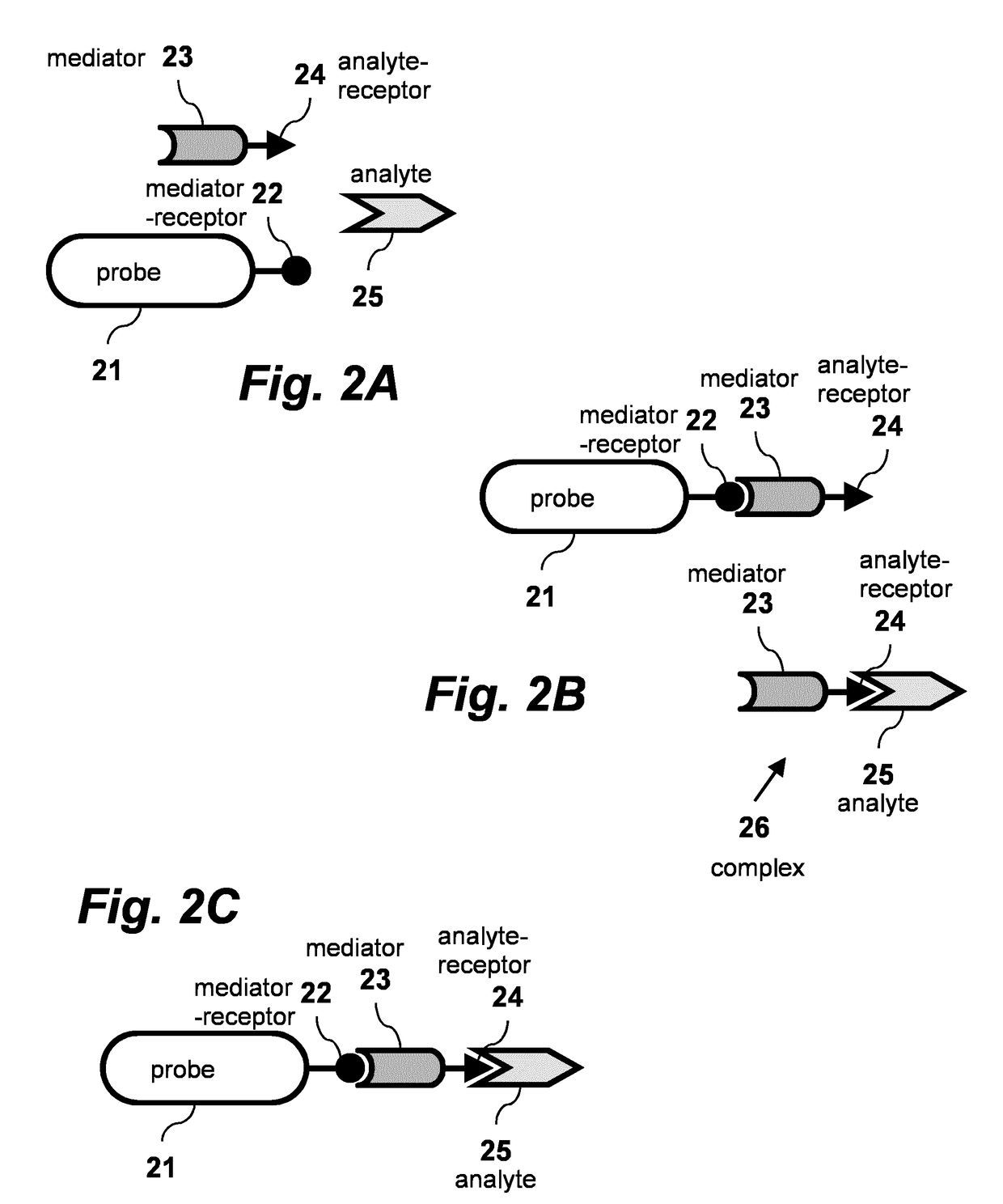 Dynamic switching biosensor