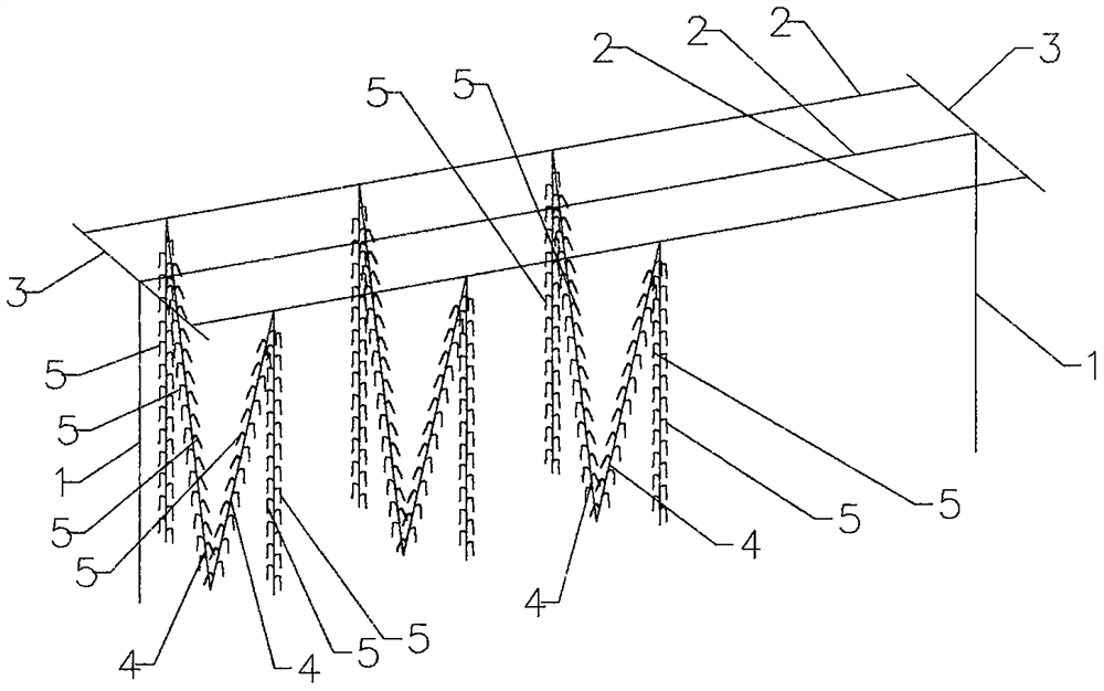 A technique of hanging grapes high and one side