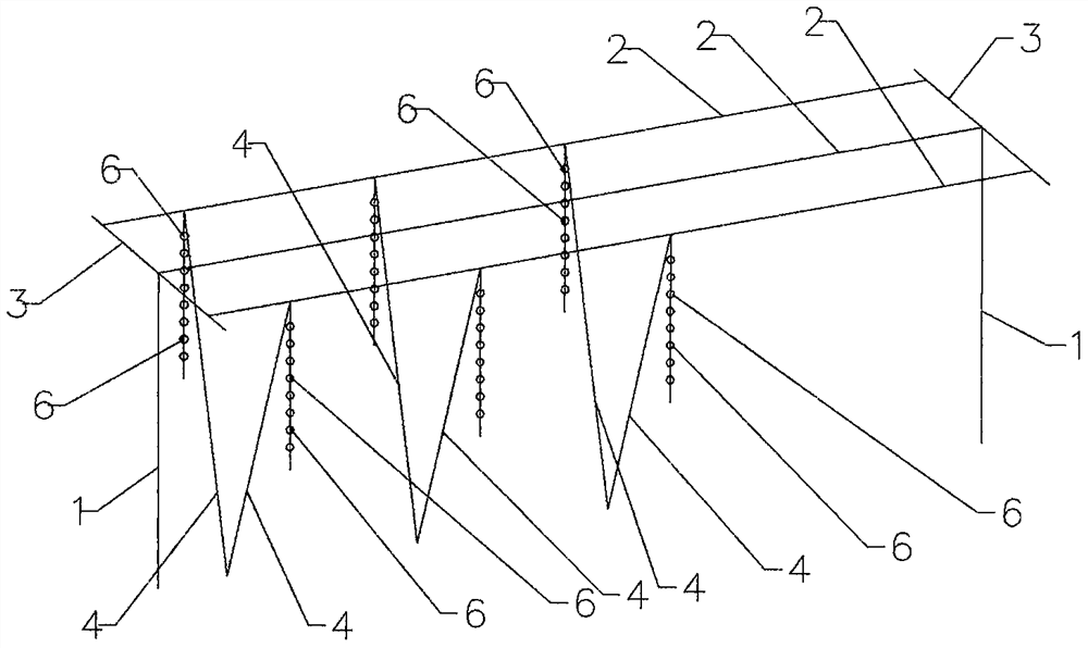 A technique of hanging grapes high and one side