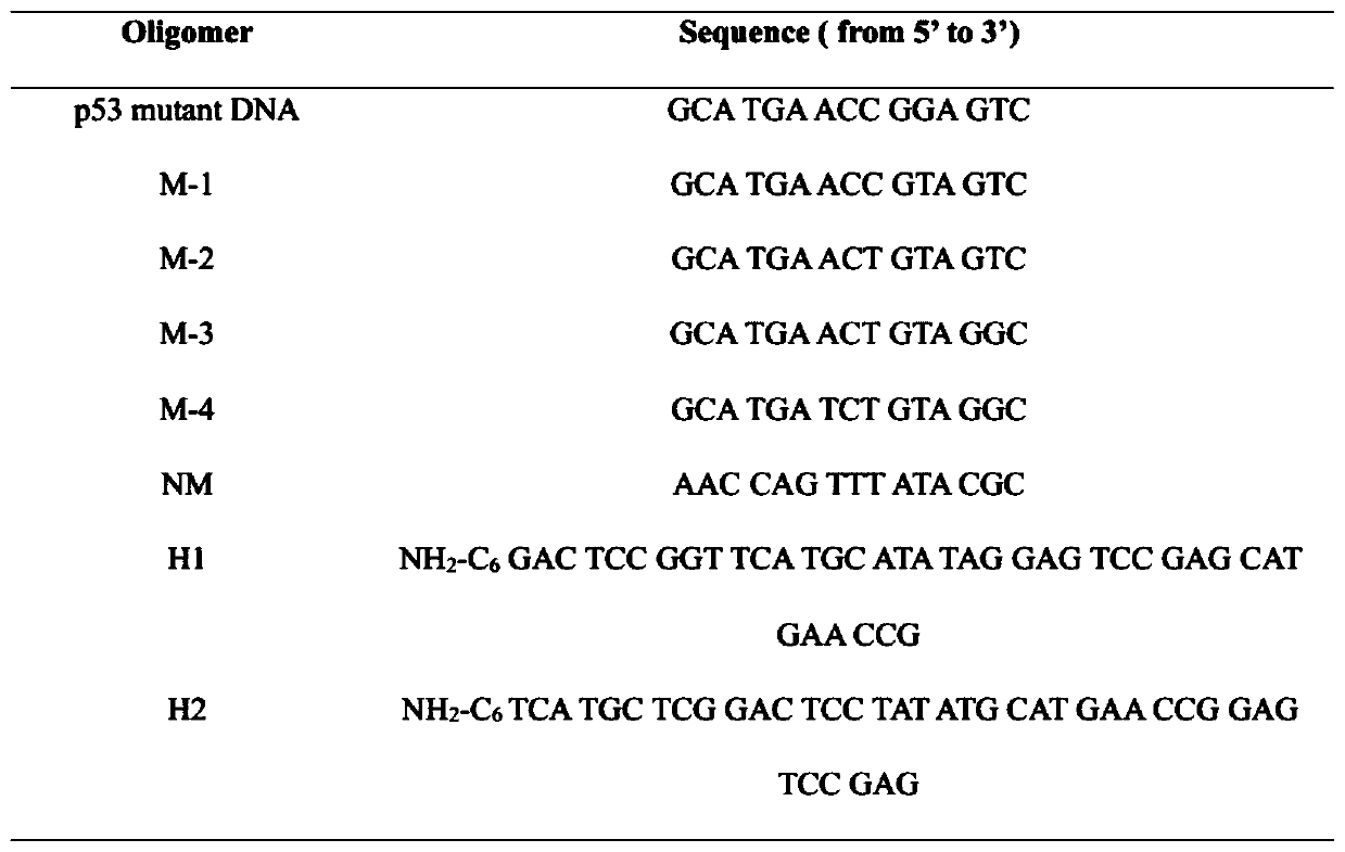 Method for quantified detection of mutation DNA through combination of resonant light scattering probe with CHA technique based on GQDs