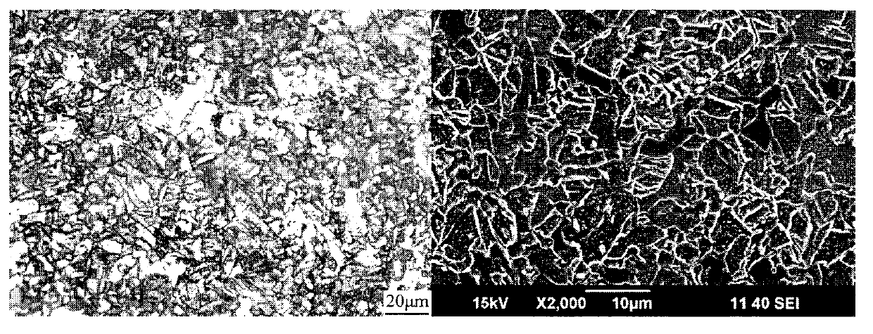 Obtaining method of large deformation pipe line steel double phase structure