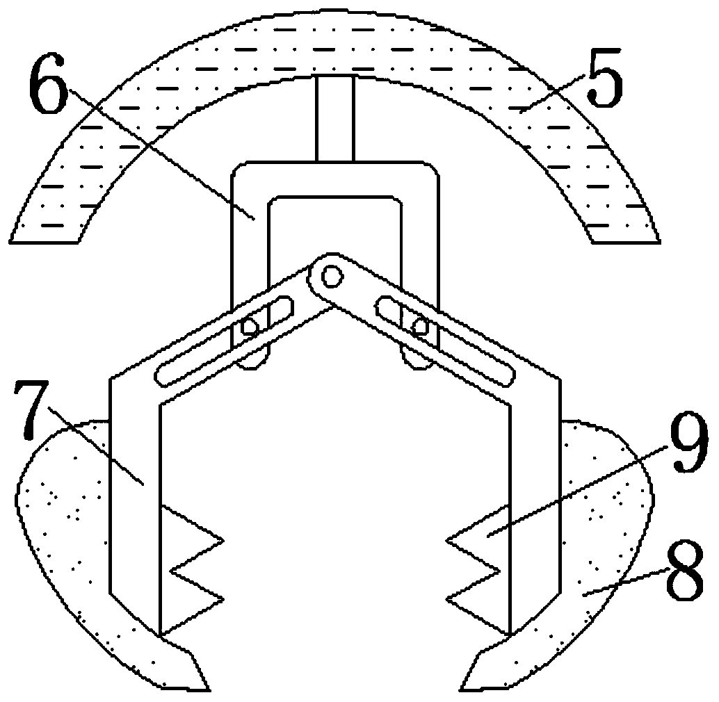 Carding machine capable of preventing cotton seeds from being stuck